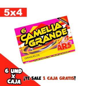 Oferta Camelia Grande 5×4